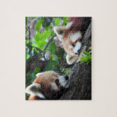 Red Pandas Legpuzzel (Verticaal)