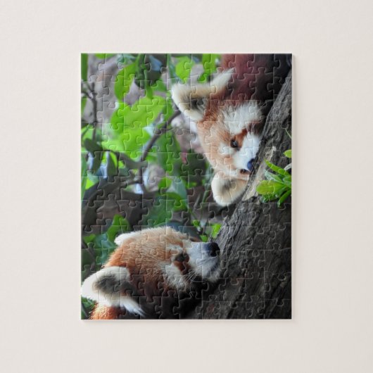 Red Pandas Legpuzzel (Verticaal)