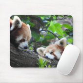 Red Pandas Muismat (Met muis)