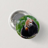 Red Pandas Ronde Button 3,2 Cm (Voorkant /achterkant)