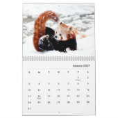 Red Pandas Wall Agenda Kalender (Jan 2027)