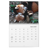 Red Pandas Wall Agenda Kalender (Mar 2027)