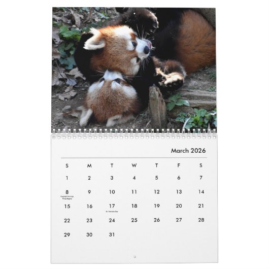 Red Pandas Wall Agenda Kalender (Mar 2026)