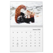 Red Pandas Wall Agenda Kalender (Jan 2026)