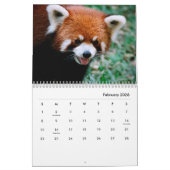Red Pandas Wall Agenda Kalender (Feb 2026)