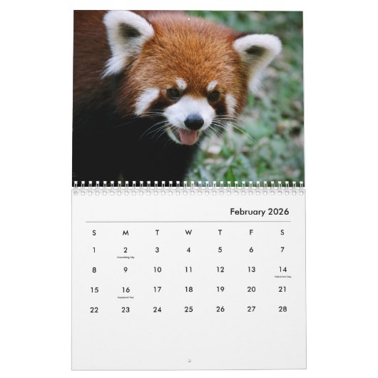 Red Pandas Wall Agenda Kalender (Feb 2026)
