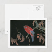 Red Parrot aan de tak van een boom, Jakuchüu Briefkaart (Voorkant / Achterkant)