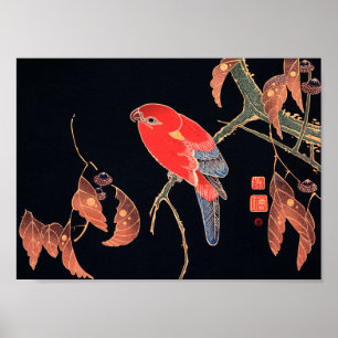 Red Parrot aan de tak van een boom van Ito Jakuchu Poster