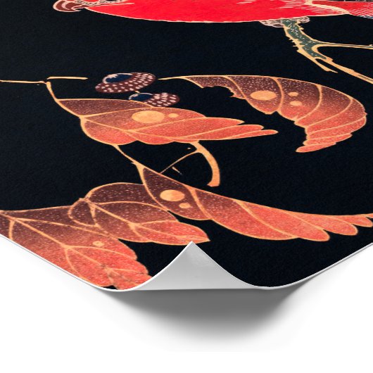 Red Parrot  Bird Japans Woodblock Print (Hoek)