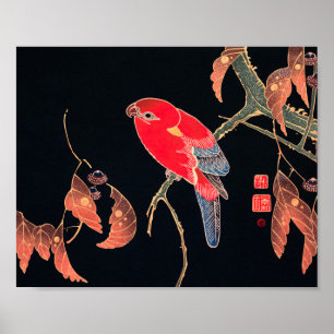 Red Parrot  Bird Japans Woodblock Print
