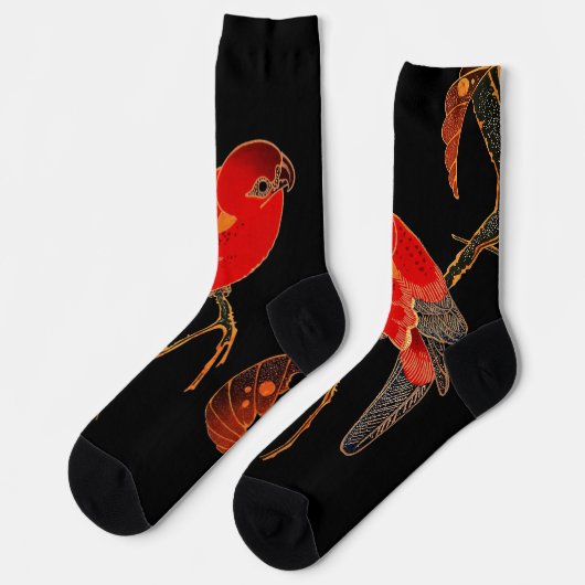 Red Parrot Fine Art Sokken (Links)