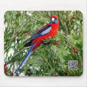Red Parrot Mousepad Muismat