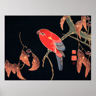 Red Parrot on Tree Branch beroemd gemaakt door Ito Poster