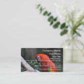 Red Parrot - sjabloon voor visitekaartjes (Staand voorkant)