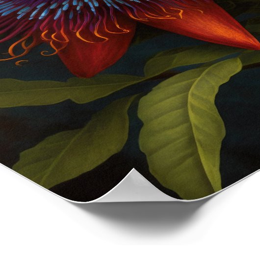 Red Passion Flower Art Print Poster (Hoek)