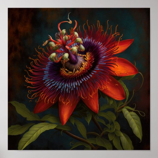 Red Passion Flower Art Print Poster (Voorkant)