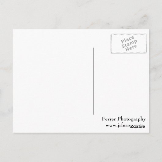 Red Passion Flower Briefkaart (Achterkant)