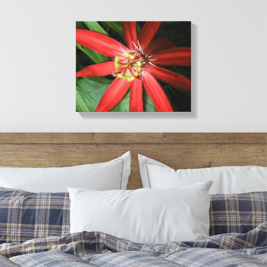 Red Passion Flower Canvas Afdruk (Insitu (Slaapkamer))