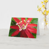 Red Passion Flower Kaart (Gele Bloem)