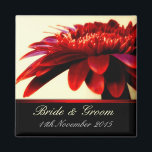Red Passion Flower Wedding Favor Magnet<br><div class="desc">fotografie dicht bij de rode gerberabloem met zwarte rand en rode satijntrim - personaliseer je details - alles is volledig aanpasbaar,  inclusief lettertypekleur,  grootte en stijl : maakt een geweldige memento (souvenir) voor je gasten op bruiloften,  speciale evenementen,  verjaardagen of elke verzameling</div>