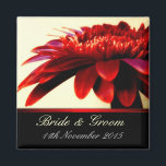 Red Passion Flower Wedding Favor Magnet<br><div class="desc">fotografie dicht bij de rode gerberabloem met zwarte rand en rode satijntrim - personaliseer je details - alles is volledig aanpasbaar,  inclusief lettertypekleur,  grootte en stijl : maakt een geweldige memento (souvenir) voor je gasten op bruiloften,  speciale evenementen,  verjaardagen of elke verzameling</div>