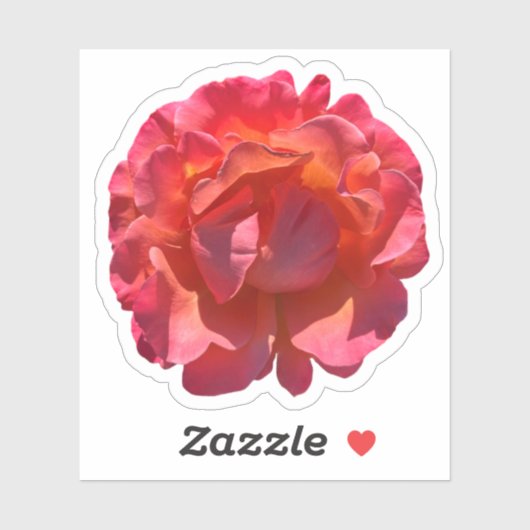 Red Peach Roos Blossom Sticker (Vel)