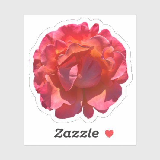 Red Peach Roos Blossom Sticker (Vel)