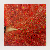 Red Peacock die zijn rode veren laat zien, Legpuzzel (Horizontaal)