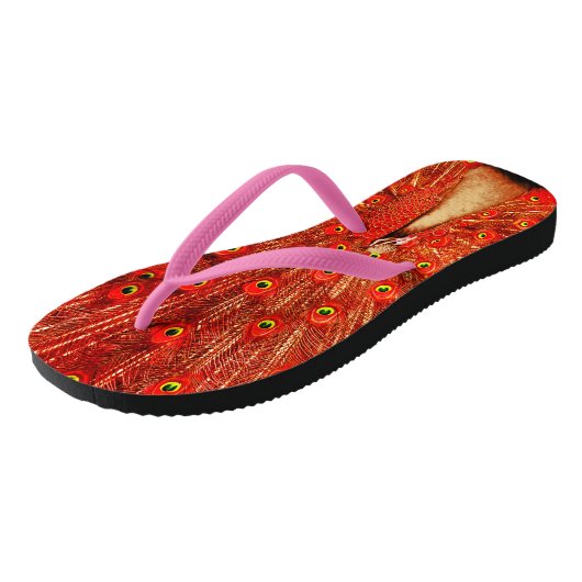 Red Peacock die zijn rode veren laat zien, Teenslippers (Schuin)