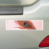 Red Peacock Feather Bumpersticker (Op auto)