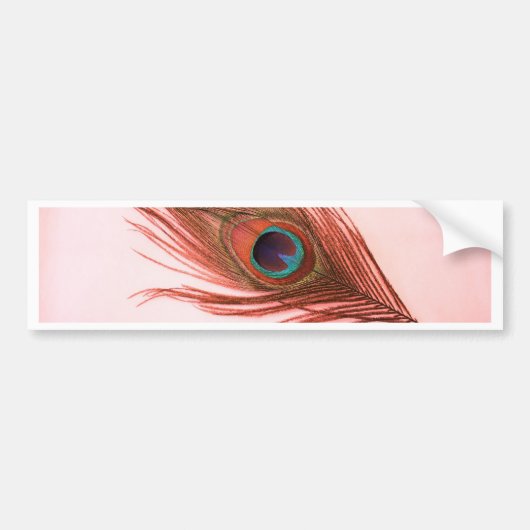 Red Peacock Feather Bumpersticker (Voorkant)