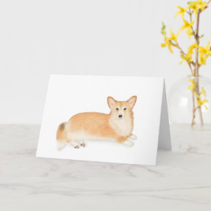 Red Pembroke Welsh corgi-blanco kaart