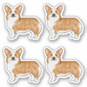 Red Pembroke Welsh Corgi Schattigee striphonden Sticker (Voorkant)