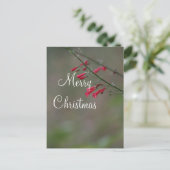 Red penstemon Merry Kerstmis Feestdagenkaart (Staand voorkant)