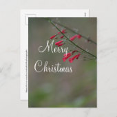 Red penstemon Merry Kerstmis Feestdagenkaart (Voorkant / Achterkant)