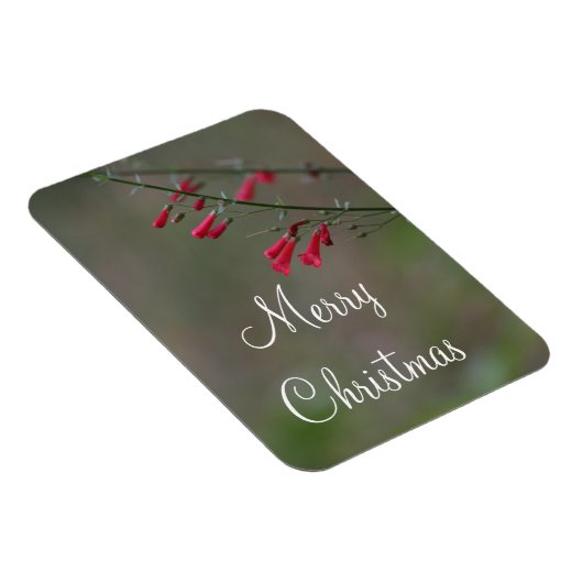 Red penstemon Merry Kerstmis Magneet (Rechterzijde)