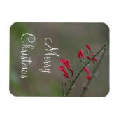 Red penstemon Merry Kerstmis Magneet (Horizontaal)