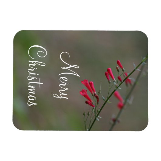 Red penstemon Merry Kerstmis Magneet (Horizontaal)