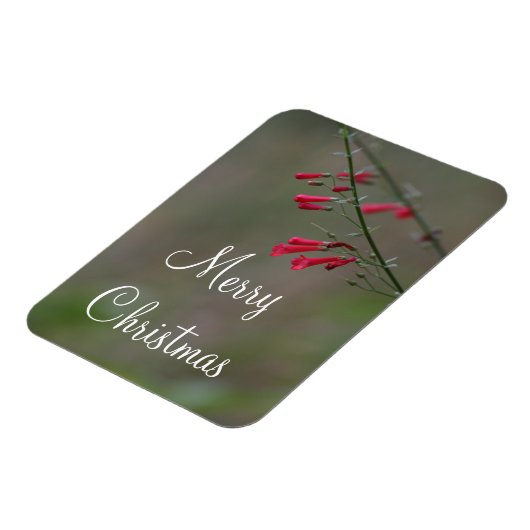 Red penstemon Merry Kerstmis Magneet (Linkerzijde)