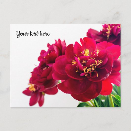 Red Peony Briefkaart (Voorkant)