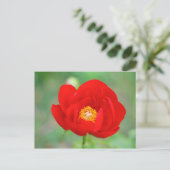 Red Peony Flower Briefkaart (Staand voorkant)