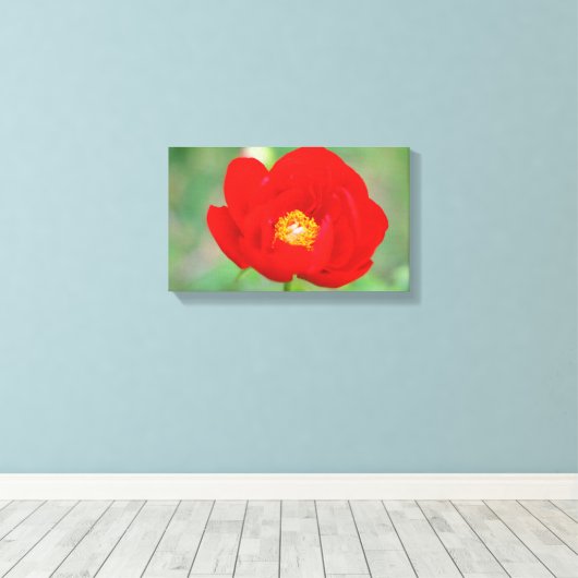 Red Peony Flower Canvas Afdruk (Insitu (Houten vloer))