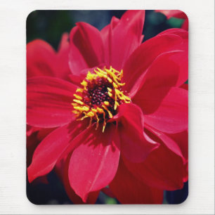 Red Peony Flower Muismat