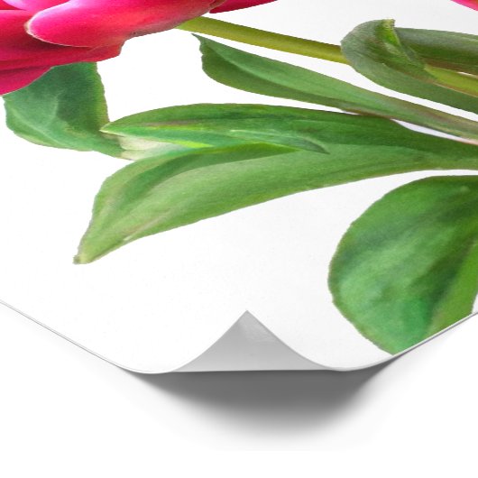 Red Peony Flowers Art Print Poster (Hoek)