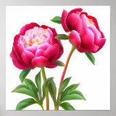 Red Peony Flowers Art Print Poster (Voorkant)