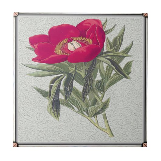 Red Peony Tegeltje (Voorkant)