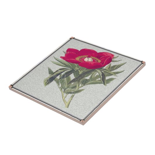 Red Peony Tegeltje (Zijkant)