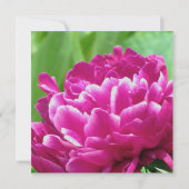 Red Peony Verloving Uitnodiging (Achterkant)