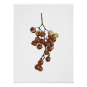 Red Peppercorns - Botanical Print 2 Perfect Poster (Voorkant)