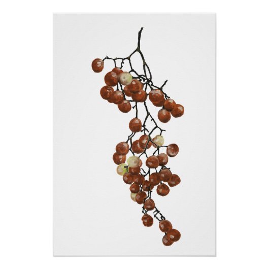 Red Peppercorns - Botanical Study 3 Perfect Poster (Voorkant)